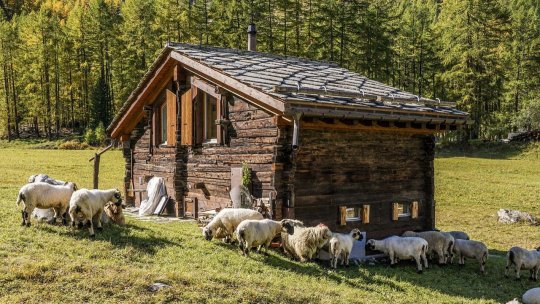 Copiii din mai multe sate de oieri din Munții Sebeșului au intrat în vacanța de vară