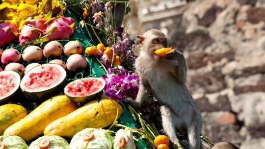 Thailanda a inclus România pe lista ţărilor ai căror cetăţeni nu vor mai avea nevoie de viză