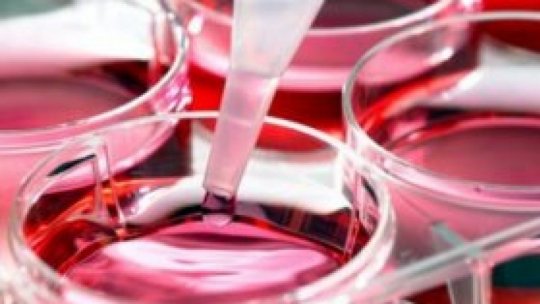 Transplantul de celule stem hematopoietice salvează vieţi, atrag atenţia asociaţiile de pacienţi şi medicii hematologi