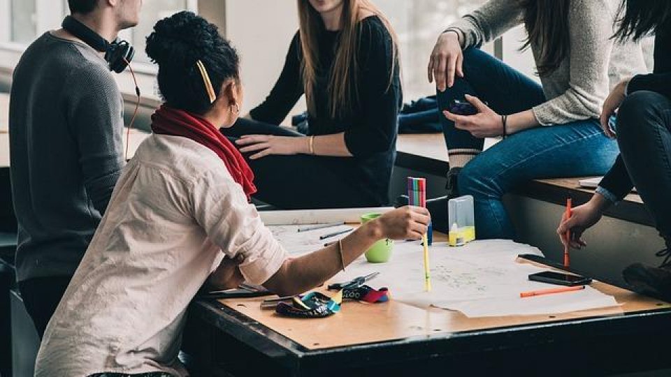 Studenții și elevii au puține variante pentru a face practică în perioada vacanței