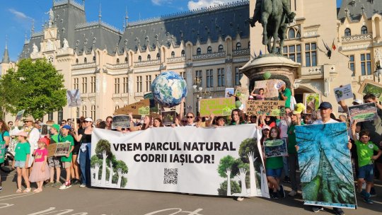 Demonstrație pentru menținerea pădurilor din jurul Iașului