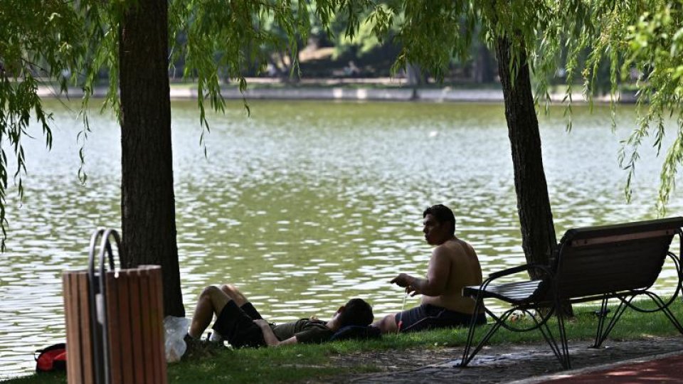 Cod roşu de caniculă în judeţul Dolj
