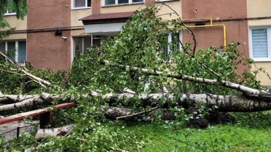 Odorheiu Secuiesc: Un panou publicitar, desprins de vânt, a lovit un trecător