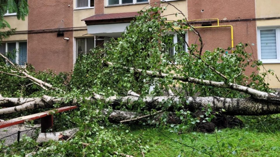 Odorheiu Secuiesc: Un panou publicitar, desprins de vânt, a lovit un trecător