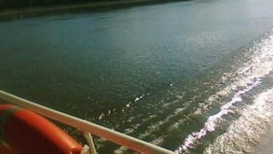 Un autotren a căzut în apele fluviului Dunărea