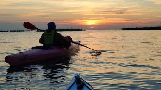 Recoltarea de scoici şi rapane în Marea Neagră a fost suspendată