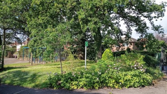 Recomandări ale medicilor odată cu apariția țânțarilor