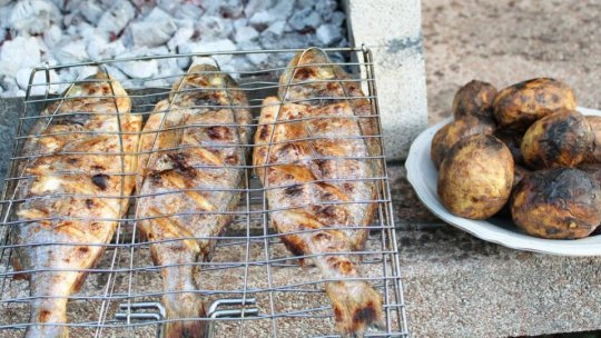 Amenzi de 410.000 lei, în prima săptămână de activitate a Comandamentului Sezon Estival 2o24