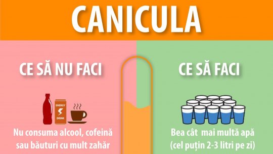 Ce NU trebuie să faceți pe timp de caniculă