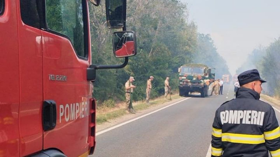Pompierii din Brăila intervin pentru stingerea unui incendiu de pădure