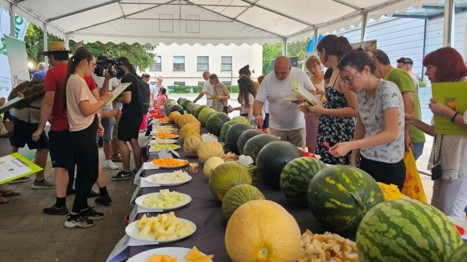 Degustare de pepeni la Universitatea Agronomică din București