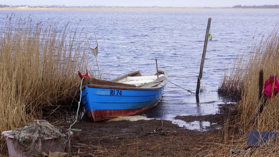 Botoșani: Piscicultorii grav afectați de seceta prelungită cer ajutorul autorităților