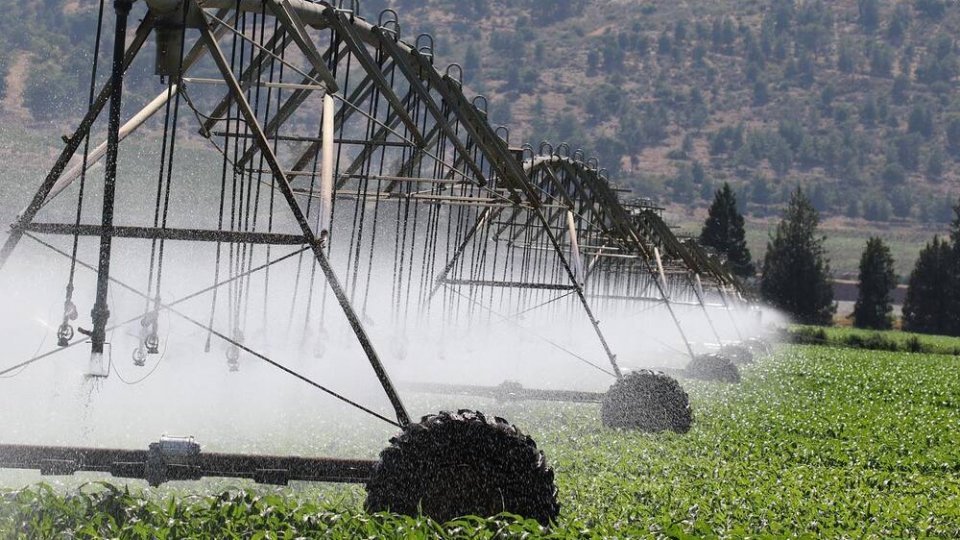 România „trebuie să depăşească 2,7 milioane de hectare de teren agricol irigat”