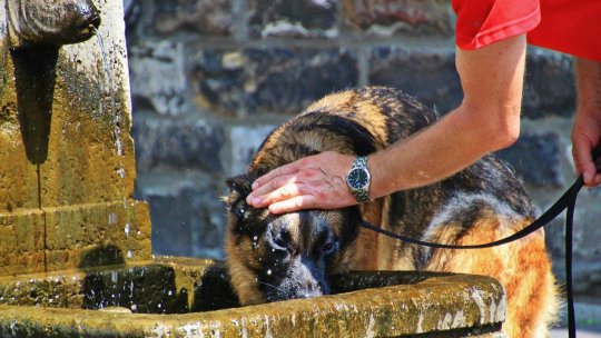 Revine canicula în aproape jumătate de ţară