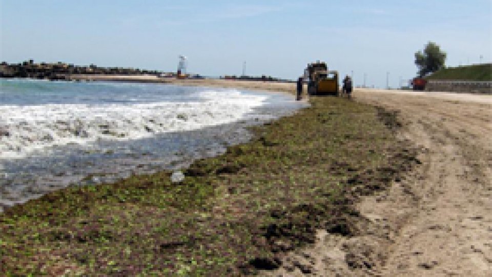 Înfiinţarea de ferme de acvacultură