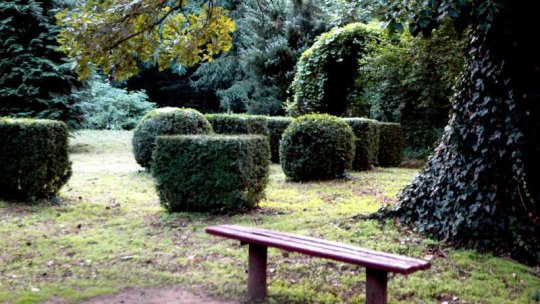 Grădina Botanică Macea: O bancă de semințe pentru viitorul plantelor din România