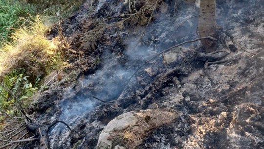 Incendiu de vegetație uscată pe masivul Buila-Vânturarița