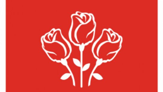 Ultimele detalii înaintea congresului PSD din 24 august
