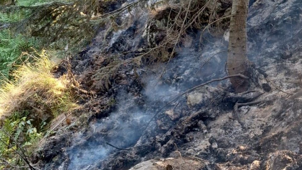 Pompierii din judeţul Sibiu au reuşit să stingă incendiul de pădure din staţiunea Păltiniş