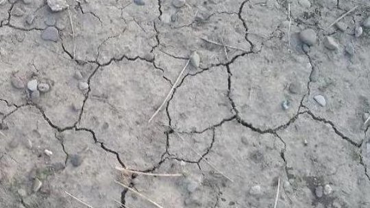 Fermierii din judeţul Olt cer autorităţilor ajutor de urgenţă