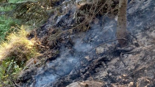 Incendiu de vegetaţie uscată pe masivul Buila-Vânturariţa