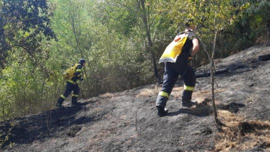 Vâlcea: Incendiu de vegetație în comuna Grădiștea