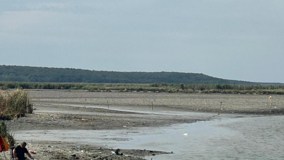 Lacul Comana a secat din cauza caniculei și a lipsei de precipitații I VIDEO