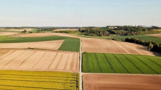 Incendierea miriştilor este principala cauză pentru care fermierii din Harghita nu primesc subvenţiile APIA