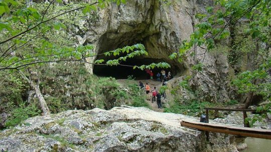 Salvamont Harghita reabilitează mai multe refugii montane din județ