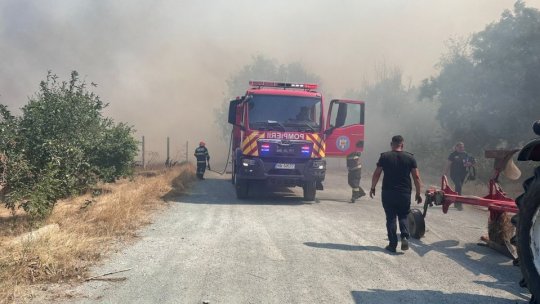În Mehedinţi, pompierii acţionează în continuare pentru stingerea incendiilor din cinci localităţi
