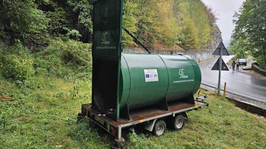 Urșii de pe Transfăgărășan, relocați în sanctuarul de la Zărnești