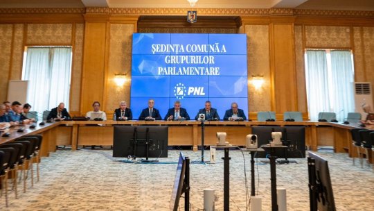 Reuniune a Consiliului Național al PNL