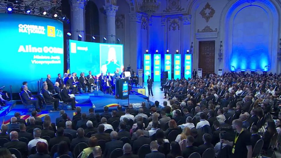 A. Gorghiu: Partidul Național Liberal propune un președinte în slujba țării