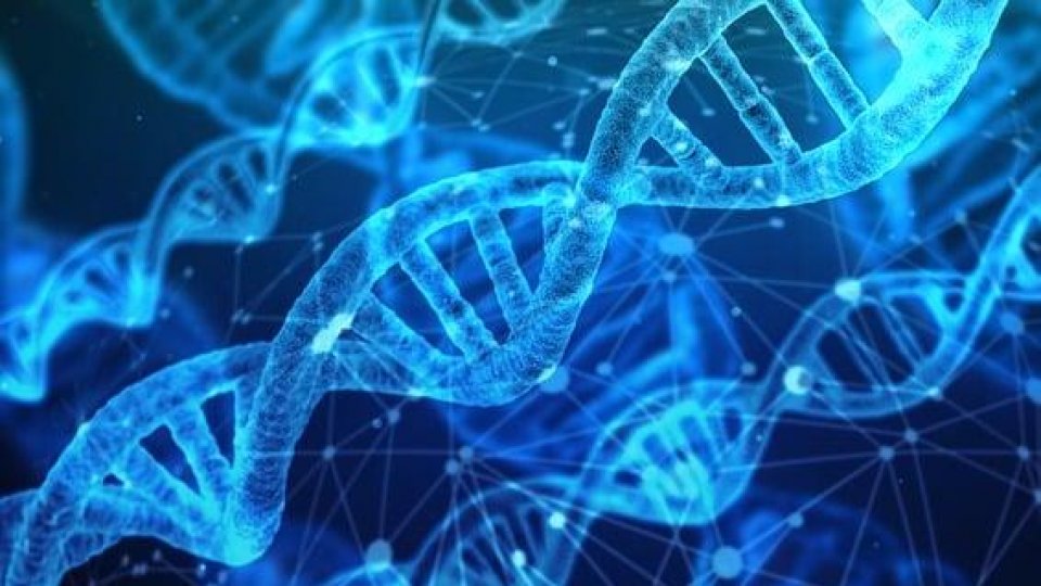 Noaptea Cercetătorilor Europeni, ocazie de a aduce mai aproape publicul larg de lumea ştiinţei