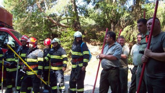 Pompierii au reluat operaţiunile de stingere a incendiului de pe raza localităţii Racoviţa, judeţul Vâlcea