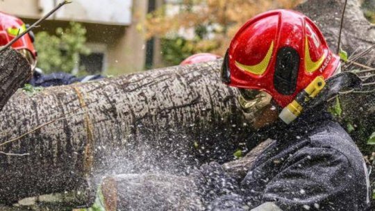 Aproape 28.000 de persoane nu aveau energie electrică luni dimineaţă, din cauza condiţiilor meteo