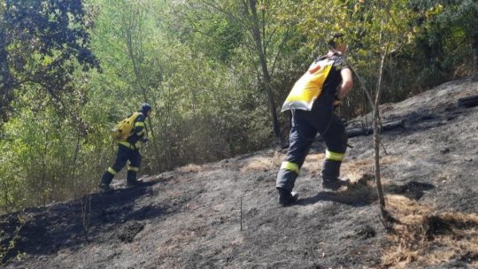 Peste 200 de persoane fac eforturi pentru stingerea incendiului de vegetaţie uscată din comuna Racoviţa, judeţul Vâlcea