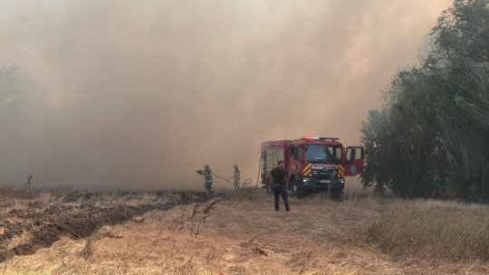 Incendiul masiv de vegetaţie din localitatea Vintere a fost lichidat de pompierii militari bihoreni