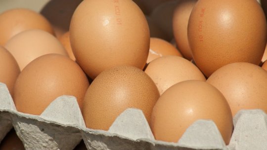 Milioane de ouă infestate cu salmonella, distruse de autorități la o fermă de lângă Vaslui