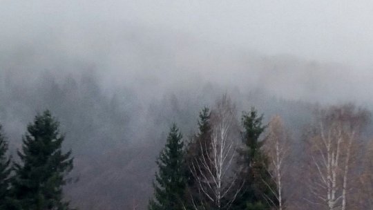 Ceaţa afectează circulaţia în două judeţe din nord