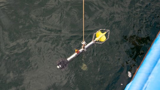 Acțiune de prelevare de probe din Marea Neagră, în urma poluării din Strâmtoarea Kerci