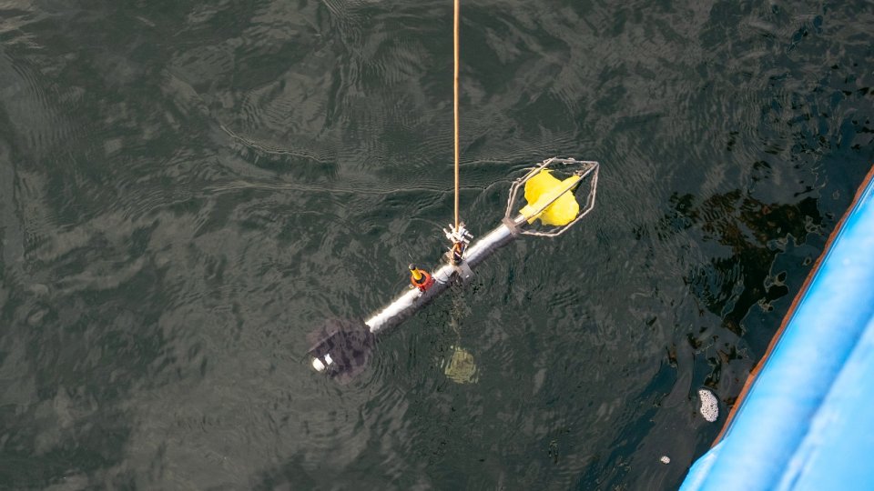 Acțiune de prelevare de probe din Marea Neagră, în urma poluării din Strâmtoarea Kerci