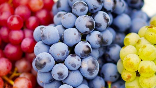 CE: Vinurile Jidvei, înregistrate sub marca "Denumire de Origine Protejată"