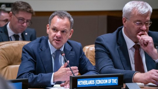 Poliția română și cea olandeză cooperează pentru recuperarea artefactelor dacice