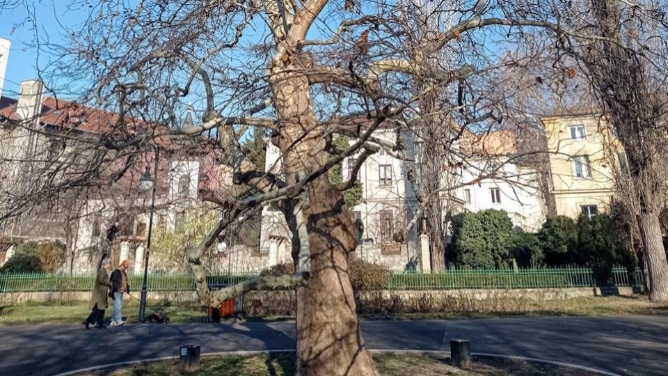 Un val de aer cald a dus în România la recorduri de temperatură