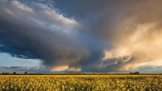 Comisia Europeană, ajutor de 11,5 milioane de euro pentru agricultorii români