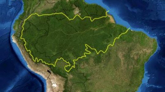 Marea Barieră de Corali şi Pădurea tropicală amazoniană, în pericol major
