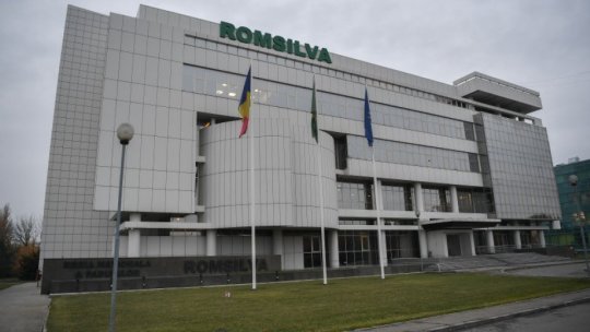 The 2025 revenue and expenditure budget of the National Forestry Administration - Romsilva was approved by the Government