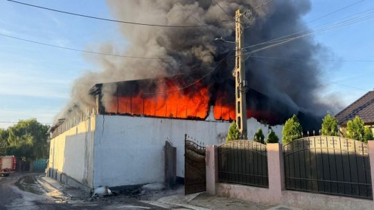 Incendiu la o hală de uscare a cerealor din Botoșani