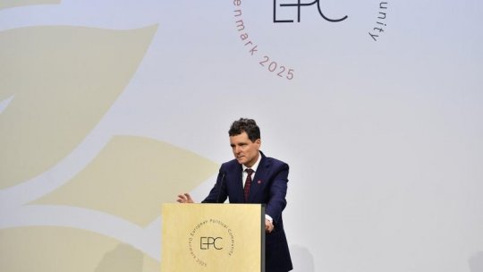 Dosarul alegerilor, prezentat la Copenhaga